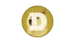 Doge Coin D