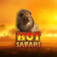 Hot Safari