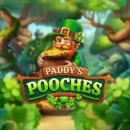 Paddy'S Pooches