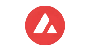 Avalanche Casino Payment Method