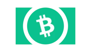 Bitcoin Cash Casino Payment Method