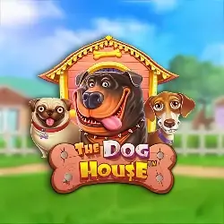 The Dog House