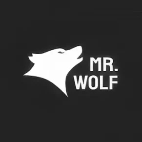 Mr Wolf Slots Casino Review
