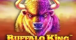Buffalo King Gp