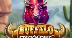 Buffalo Stack N Sync Gp