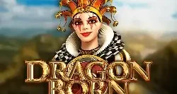 Dragon Born Gp