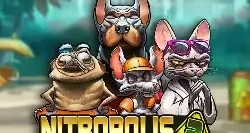 Nitropolis 3 Gp