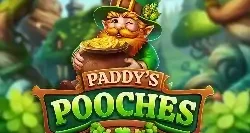 Paddys Pooches Gp
