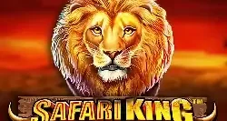 Safari King Gp